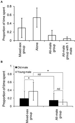 Effects of Male Age and Female Presence on Male Associations in a Large, Polygynous Mammal in Southern India: The Asian Elephant